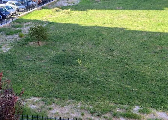 Apartman Numero 10 *